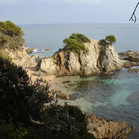 公寓 Laurel 滨海略雷特